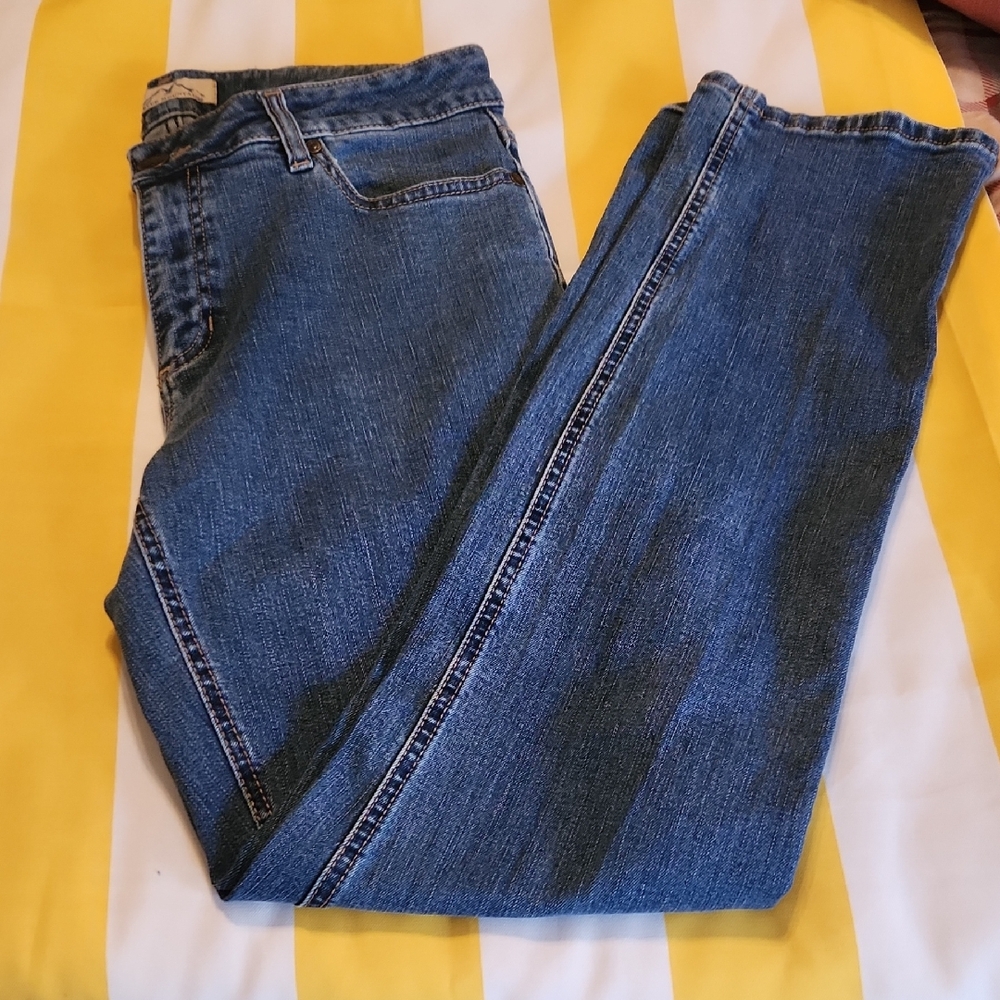 Blue Mountain Jeans Womens 12